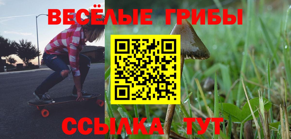 Галлюциногенные грибы ЛСД  Галлюциногенные грибы Psilocybine cubensis  Вход с VPN  Орёл 