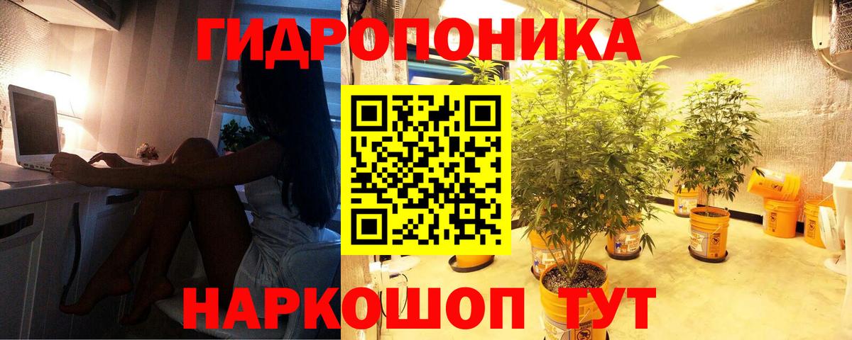 Шишки марихуана OG Kush Орёл